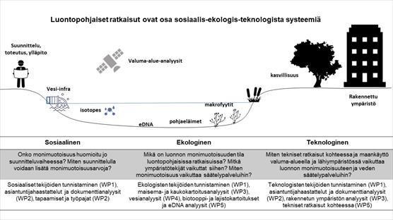 Binatur_viitekehys